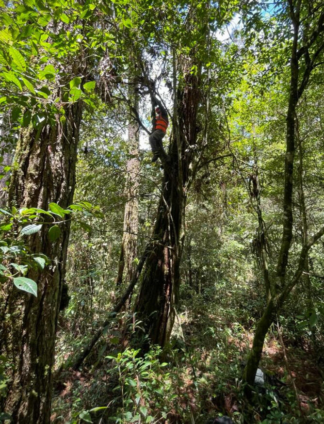 Ecotest lidera la vanguardia en la evaluación de índices acústicos en las cuencas del área metropolitana de Guatemala. Introducimos un sistema de monitoreo ambiental que utiliza esta técnica avanzada para proporcionar resultados rápidos y precisos. Este en